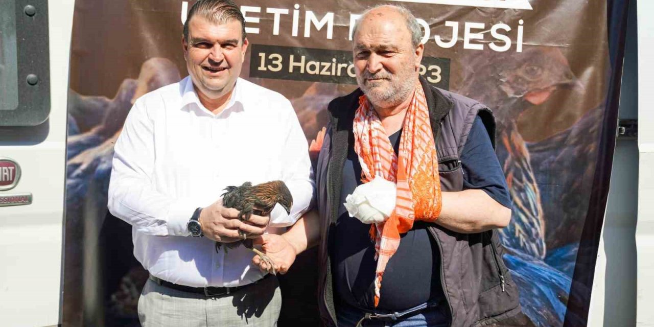 Seferihisar Belediyesinden 400 çiftçiye 4 bin tavuk