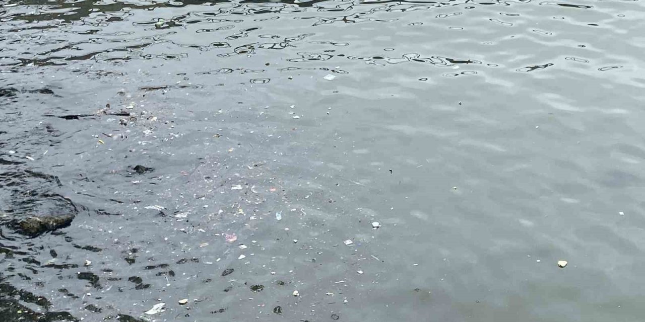 Sağanak yağış sonrası çöpler limanlara toplandı