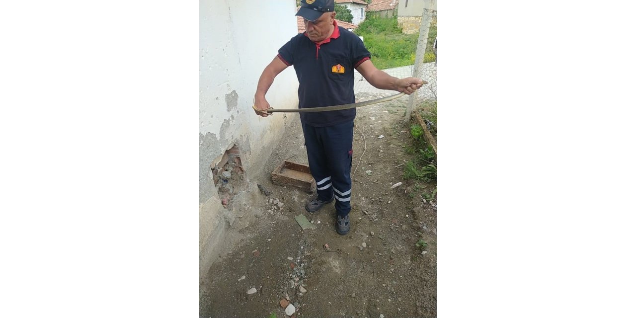 Su saatine giren yılan paniğe neden oldu
