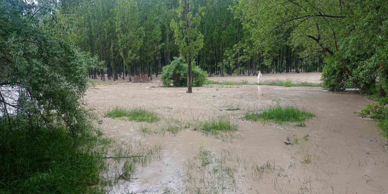 Sel tarım arazilerine zarar verdi