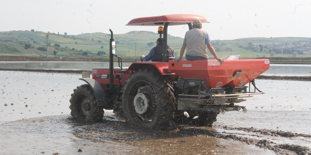 Manyas’ta çeltik ekimleri başladı