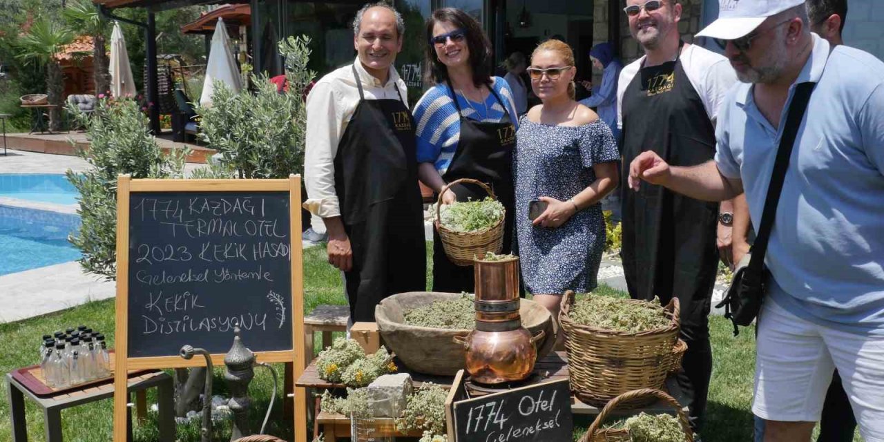 Kazdağları’nın kekikleri hasat edilmeye başlandı