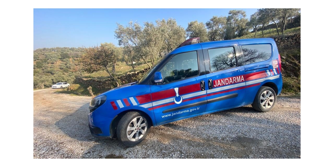 Kaybolan hayvanlar jandarma tarafından bulundu