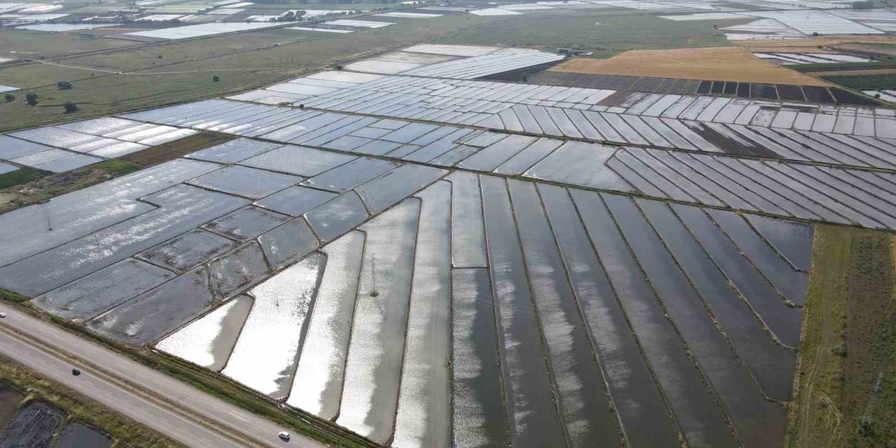 Gönen ve Manyas ovalarında çeltik ekimine başlandı