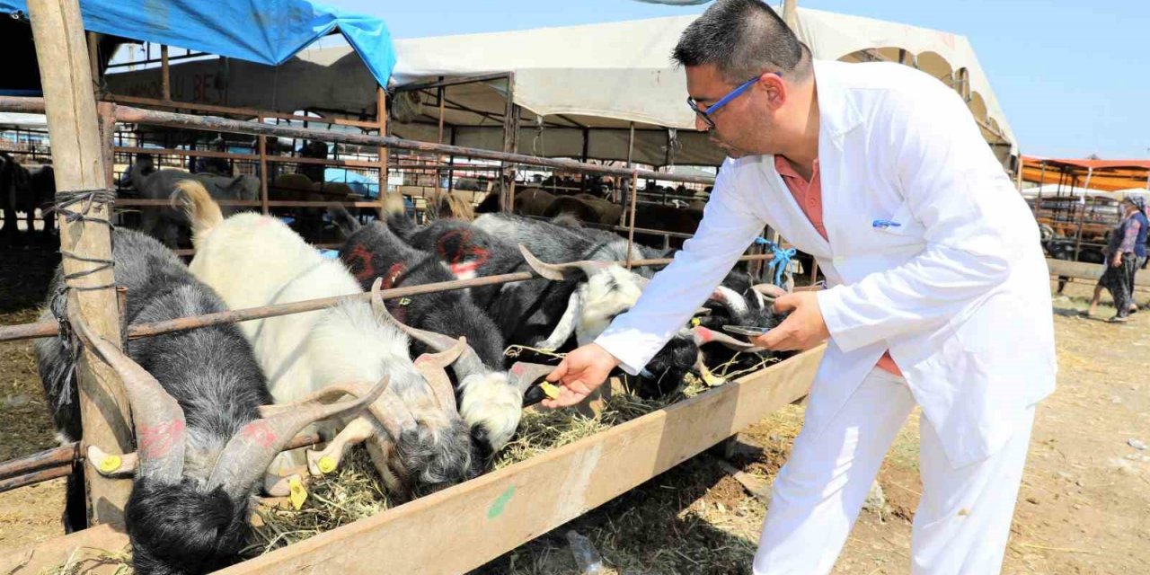 Yüreğir’de kurban satış ve kesim yerleri belirlendi