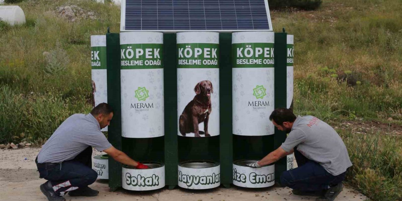 Meram’da sokak hayvanlarının mama kapları artık otomatik dolacak
