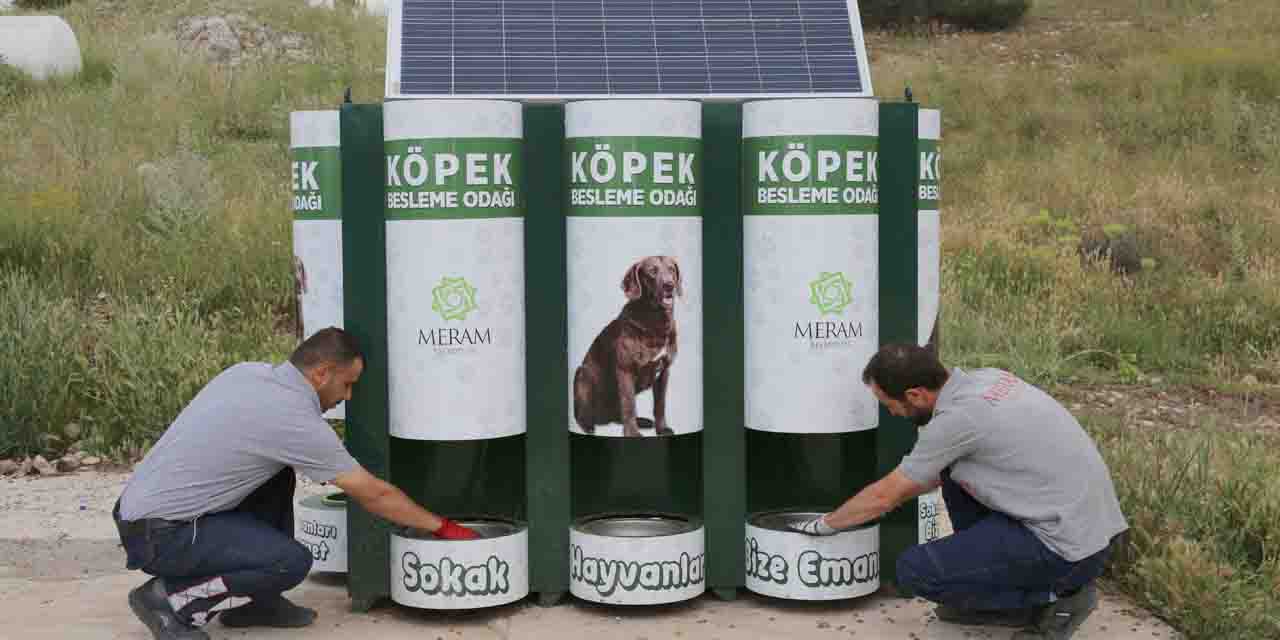 Konya Meram'da mama kapları artık otomatik dolacak