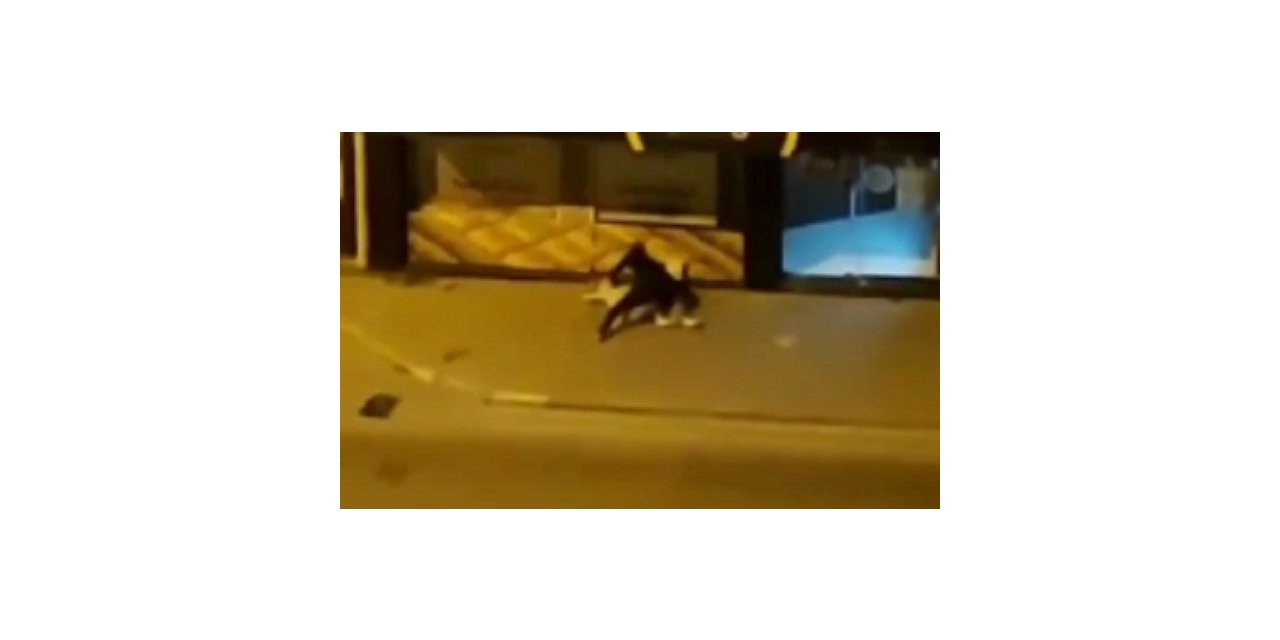 Sokak ortasında dayak yedi, polis gelince şikayetçi olmadı