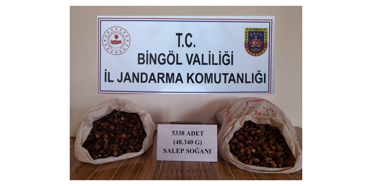 Salep soğanı toplayan kişilere 1 milyon 221 bin lira ceza kesildi