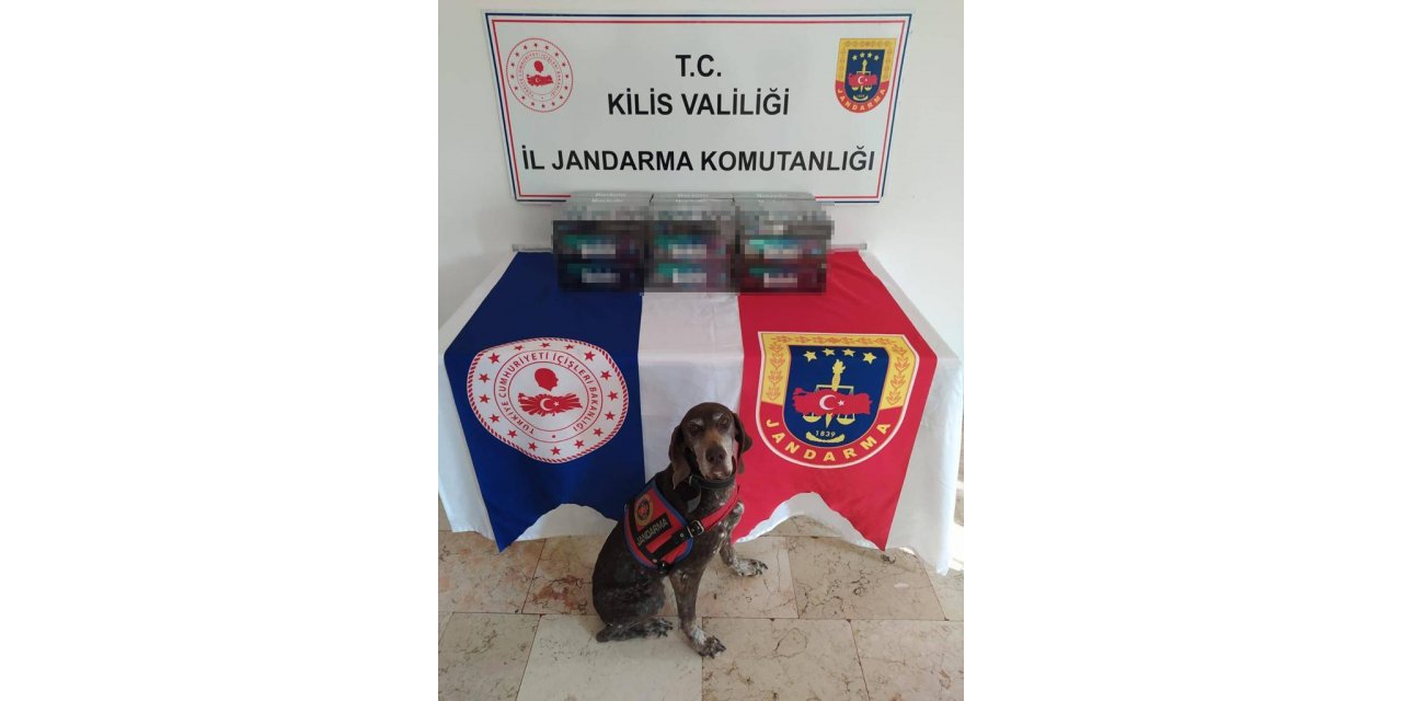 Kilis’te kaçak sigara operasyonu