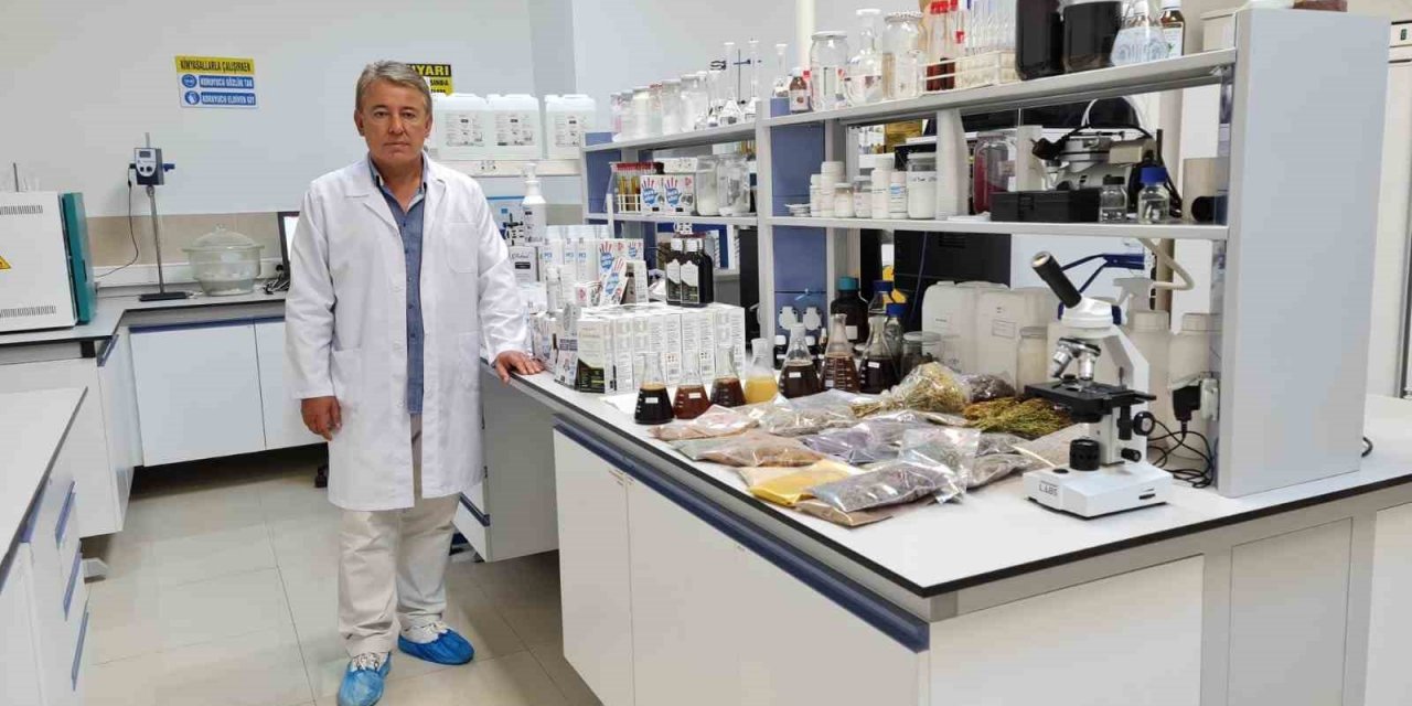 Tıbbi bitkilerin embriyo dönemi, kök hücre özellikleri ve üretimi mercek altına alındı