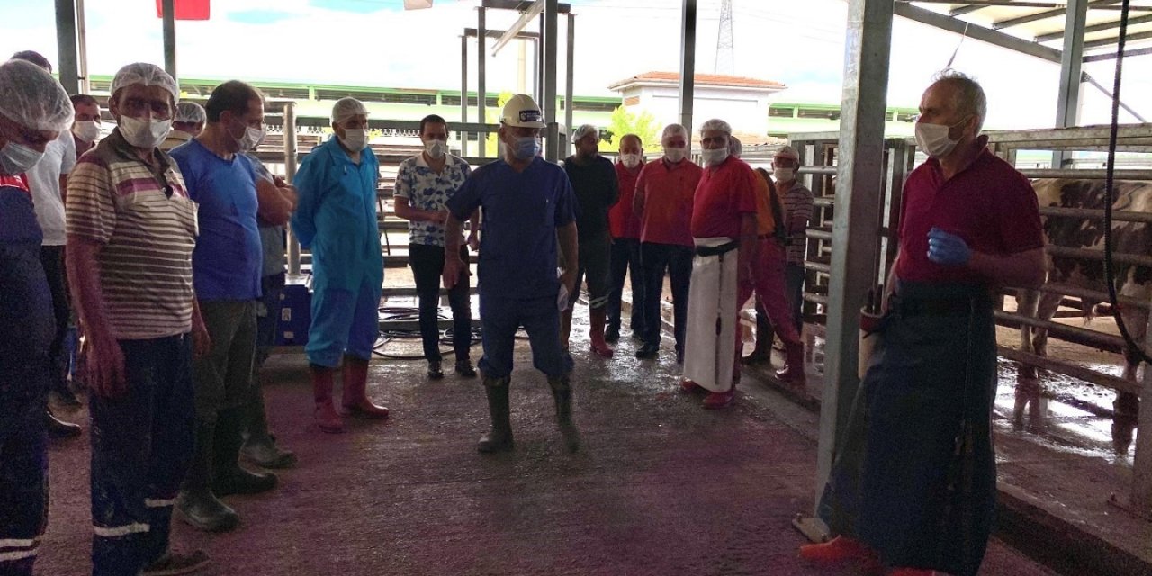 İslami usullere uygun kurban kesimi için eğitim veriliyor