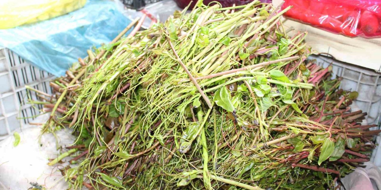 Kırçan otu pazara indi