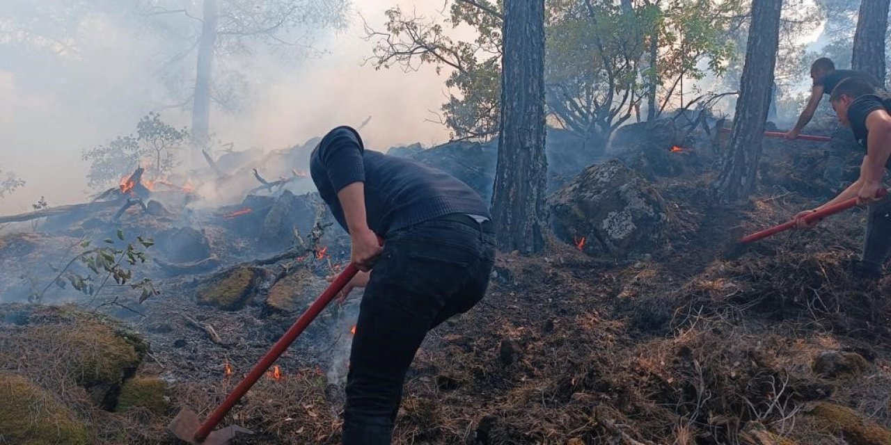 Yıldırım düşmesi sonucu çıkan orman yangını söndürüldü