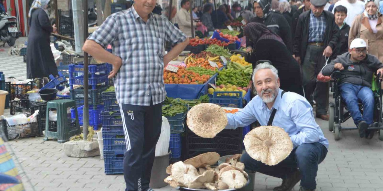 Yağmur yağışları sonrası mantar bereketi