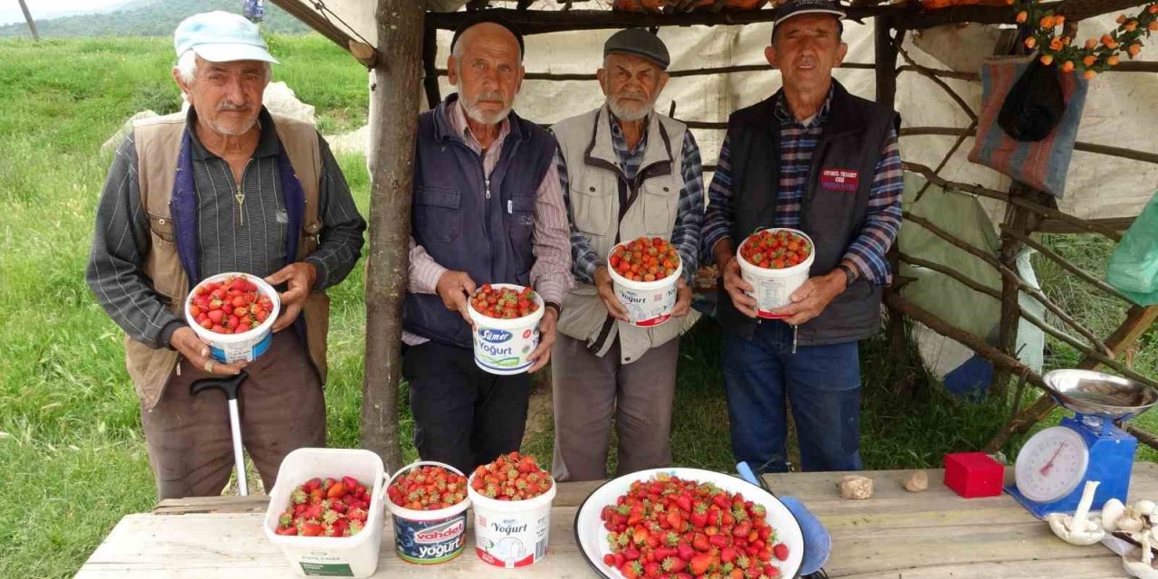 Demirciören çileği tezgahlarda