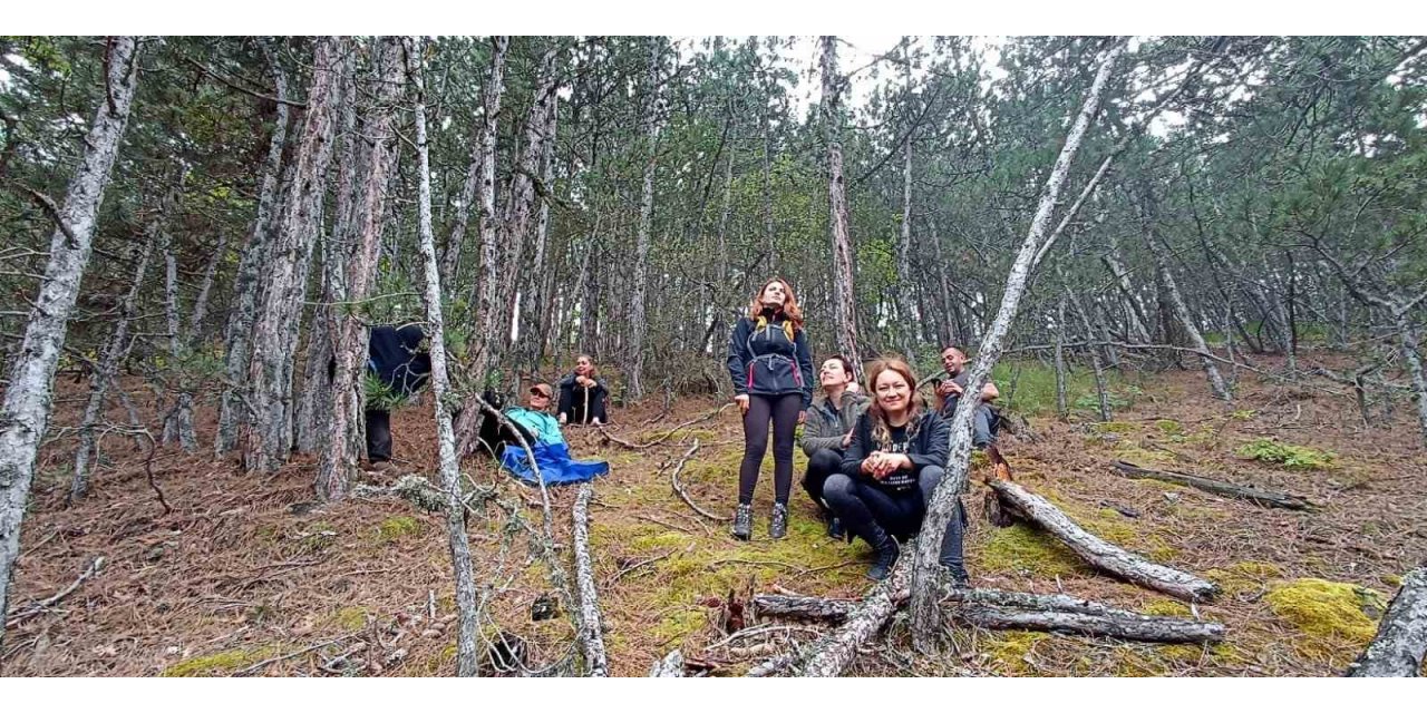 Mantar için 7 kilometre yürüdüler