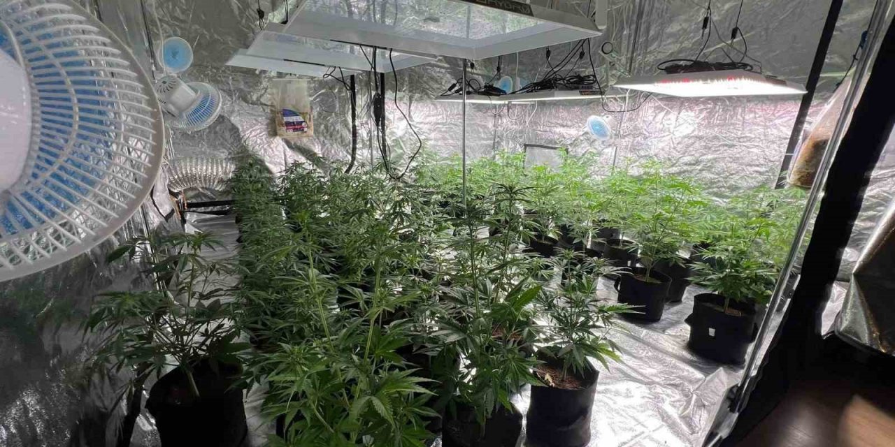 Ataşehir’de uyuşturucu serasına çevrilen eve polis operasyonu