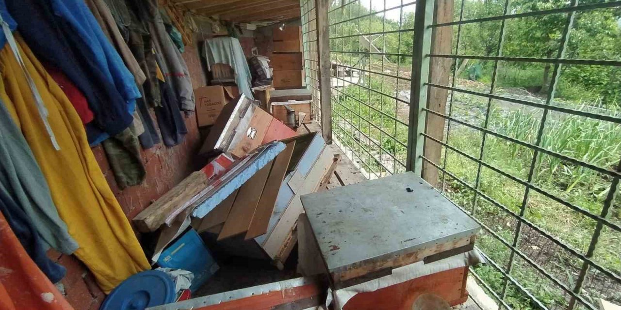 Tüm tedbirler ayıyı durdurmadı, kovanları parçalayan ayı geride pençe izlerini bıraktı