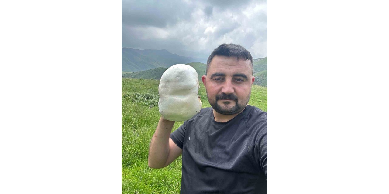 Dev mantarların görüntüsü hayretle karşılandı