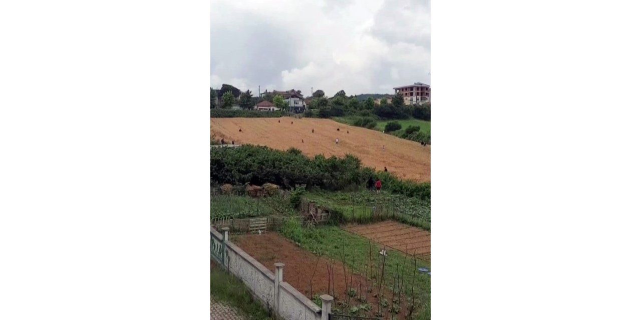 Cezaevine götürüldüğü esnada firar etti, ortalık karıştı