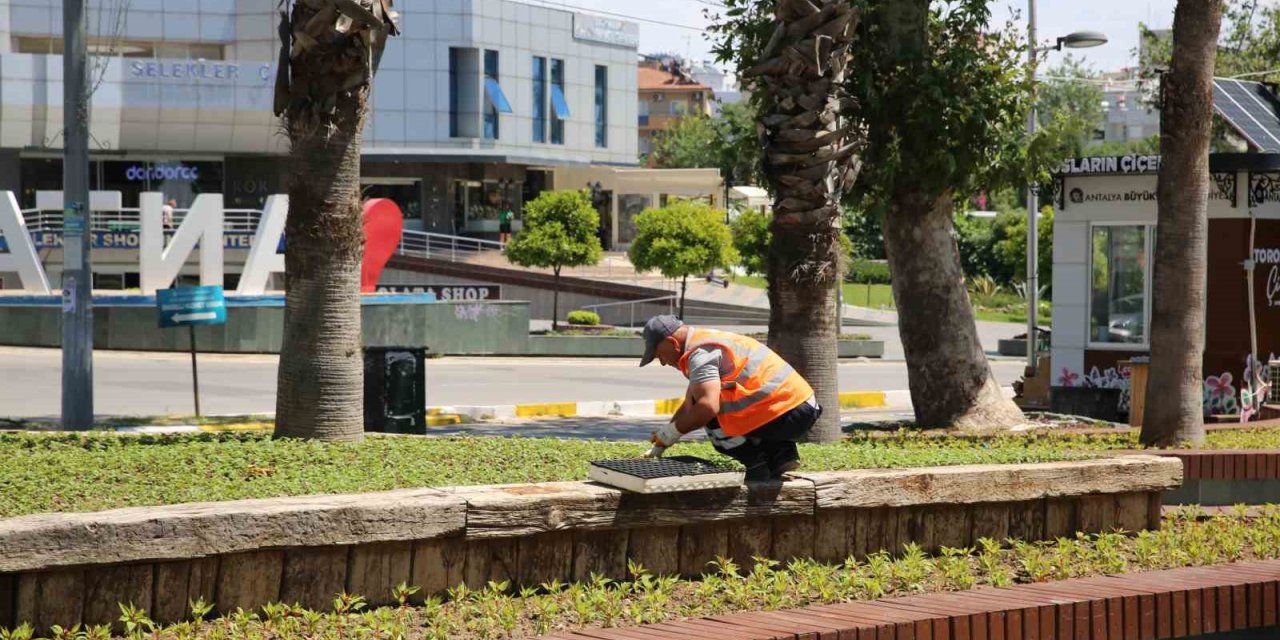 Antalya bu yaz çiçek bahçesine dönecek