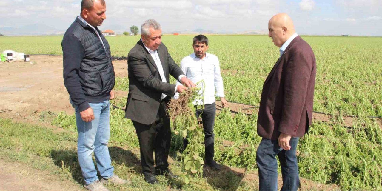 Karaman’da dolu ekili arazilere zarar verdi, tarlalar kış mevsimi gibi beyaza büründü