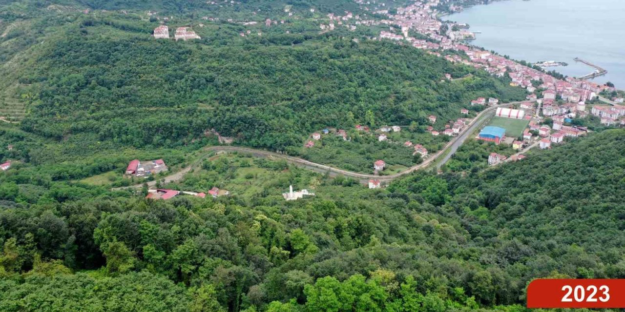 Çöp dağından yeşil ormana