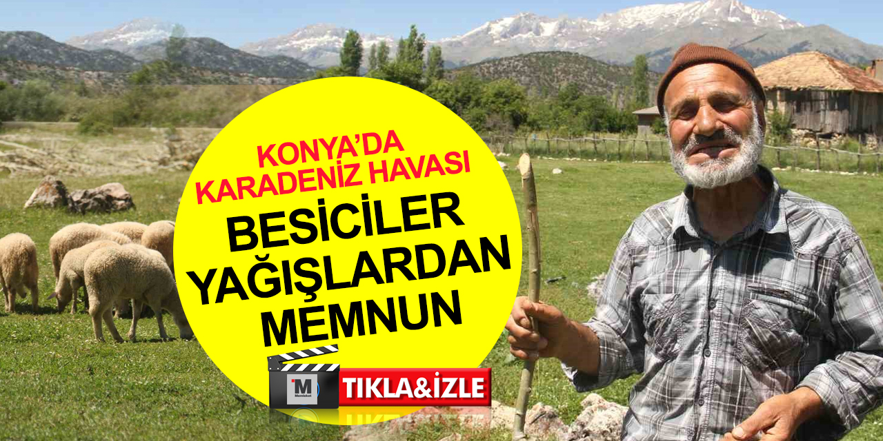 Karadeniz havasının yaşandığı Konya’da besiciler yağışlardan memnun