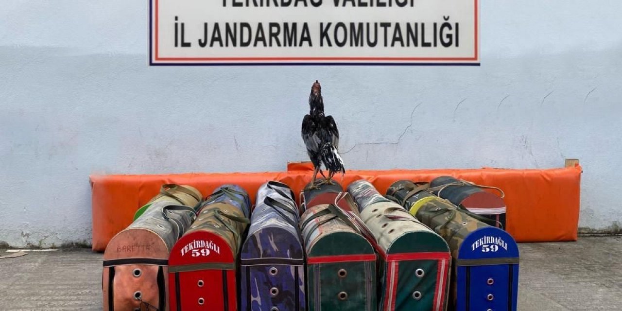 Tekirdağ’da çiftliğe horoz operasyonu: 20 bin lira ceza kesildi