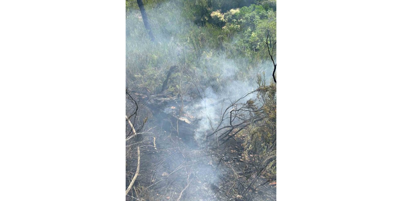 Fethiye’de çıkan orman yangını söndürüldü