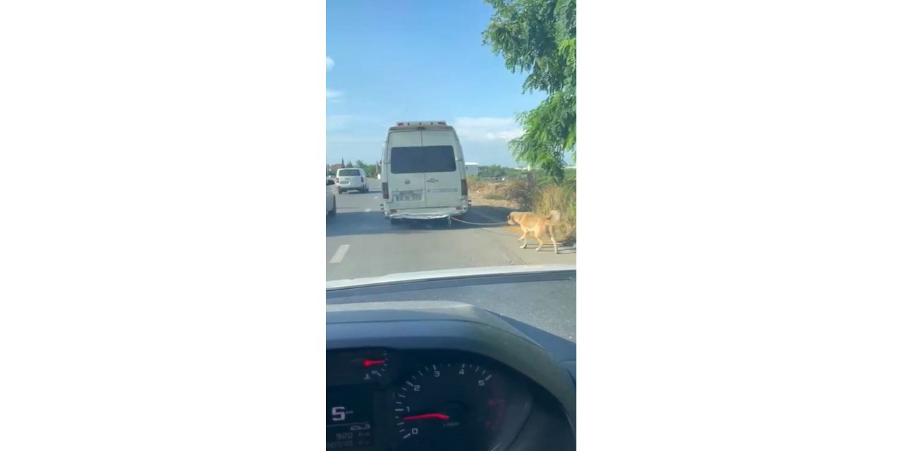 Minibüsün arkasına bağlanan köpeği zorla götüren sürücüye adli işlem