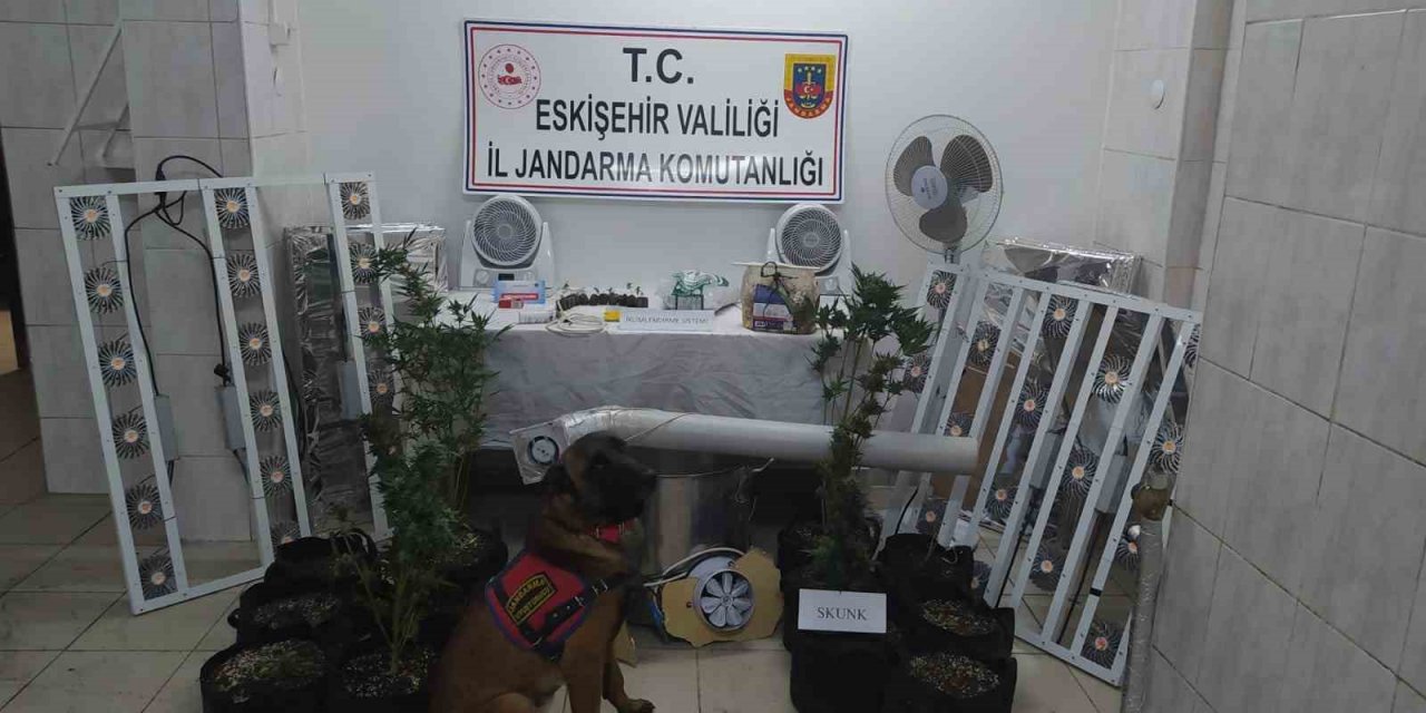 Jandarmanda Seyitgazi’de uyuşturucu operasyonu