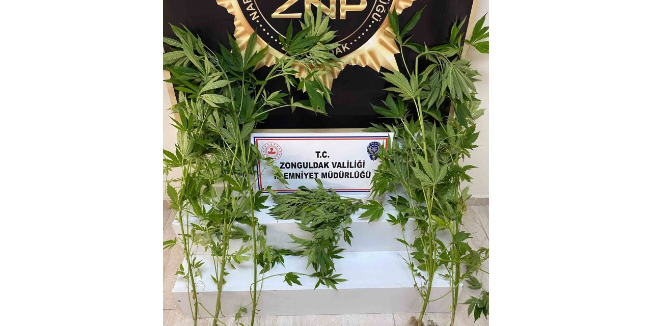 Zonguldak’ta uyuşturucu operasyonu