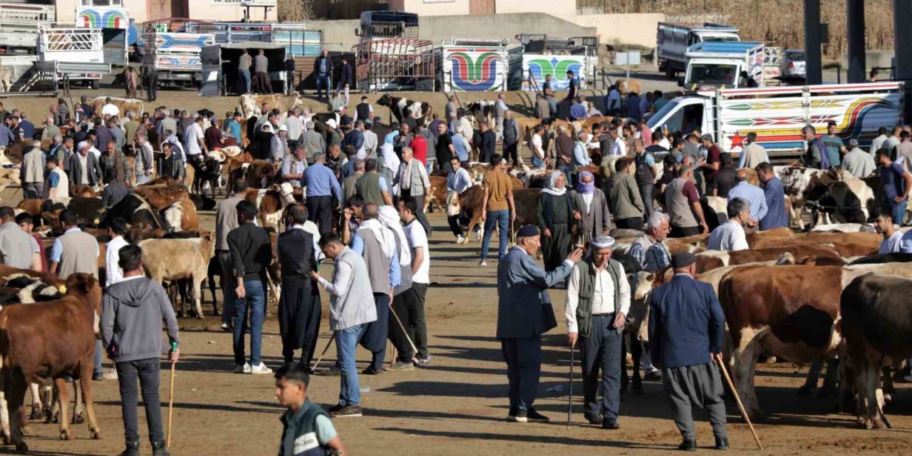 Hayvan pazarında hareketlilik başladı