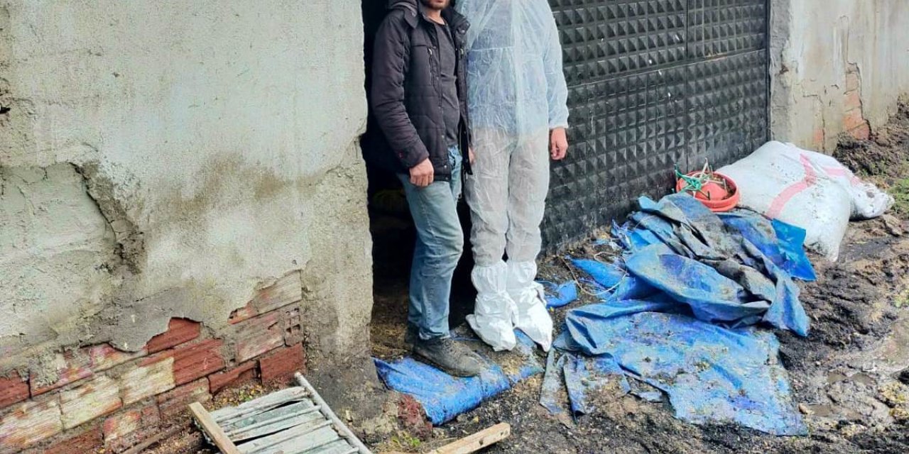 Gediz’de selden zarar gören tavuk işletmesinde hasar tespit çalışması