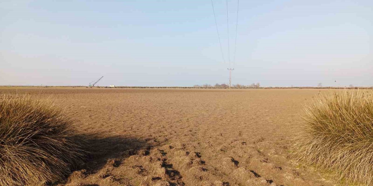 Türkiye’nin yüzde 22,5’i yüksek çölleşme riski altında