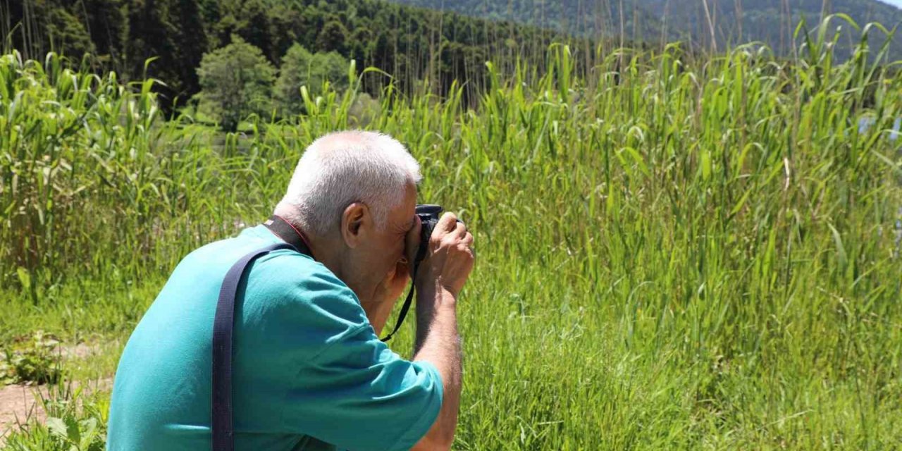 Fotoğraf meraklıları soluğu doğada aldı