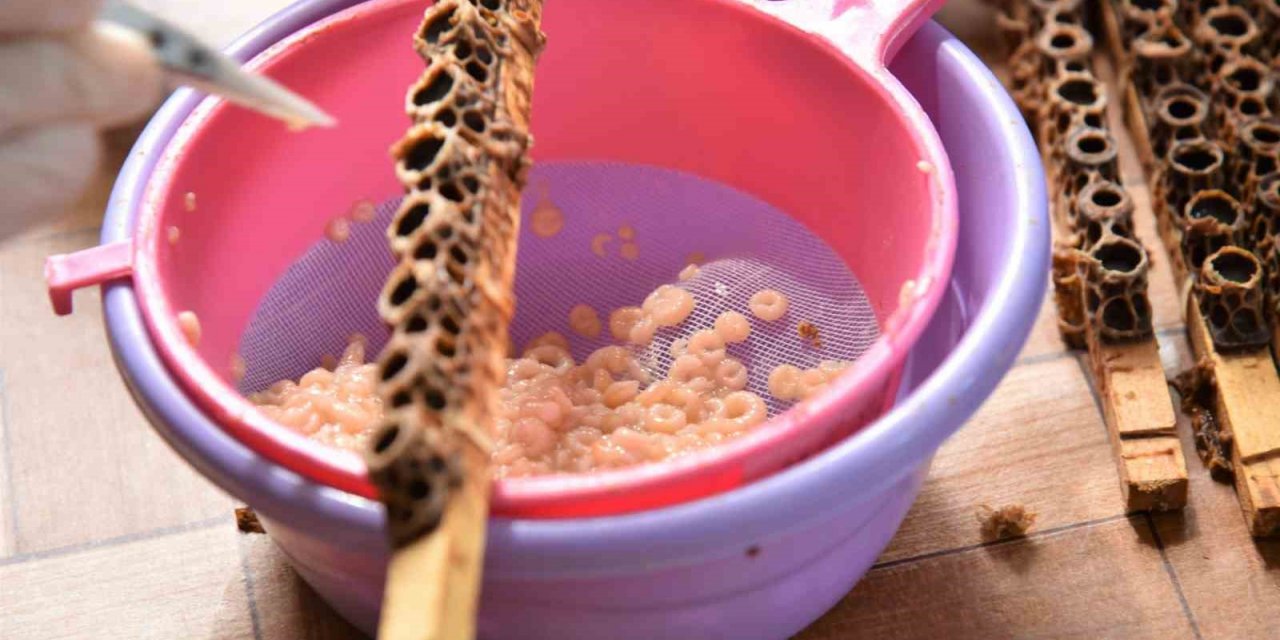 ’Beyaz altın’ın kilosu 15 bin liradan satılıyor