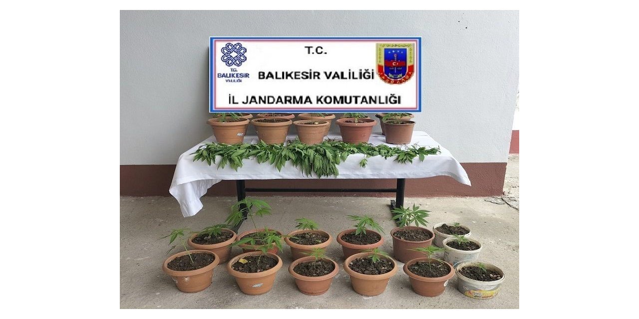 Jandarmadan Karesi’de uyuşturucu operasyonu