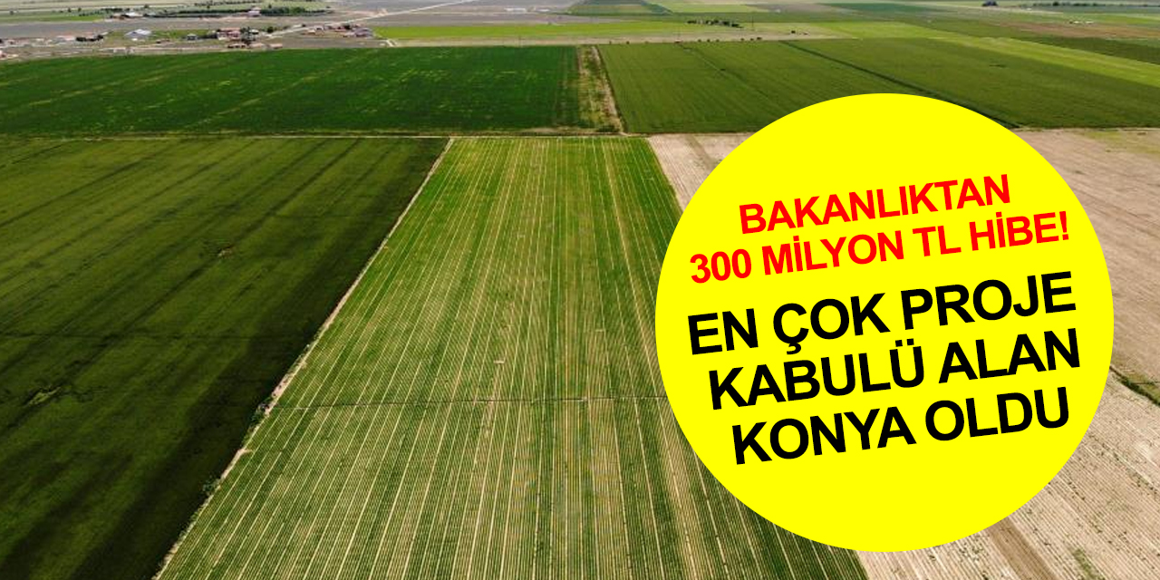 Tarım ve Orman Bakanlığı'ndan bin 200 projeye 300 milyon TL hibe! En fazla proje kabulü alan Konya oldu