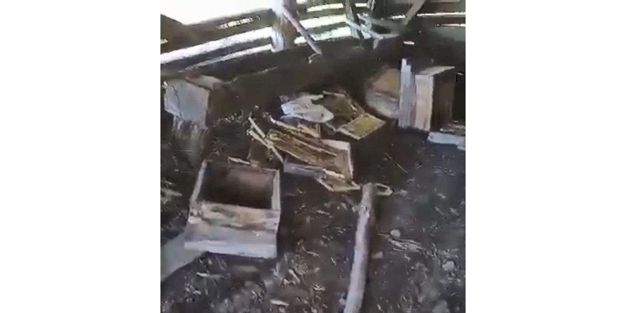 Aç kalan ayı arı kovanlarını parçaladı