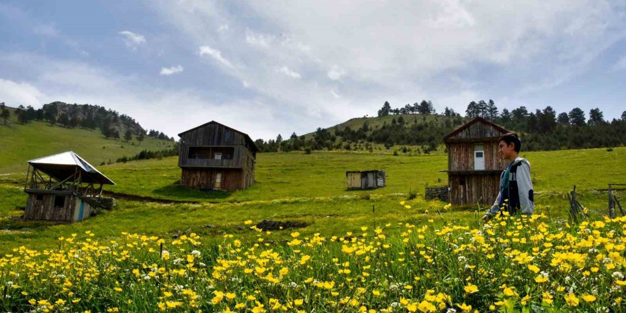 Altınpınar Gölüne ziyaretçi akını