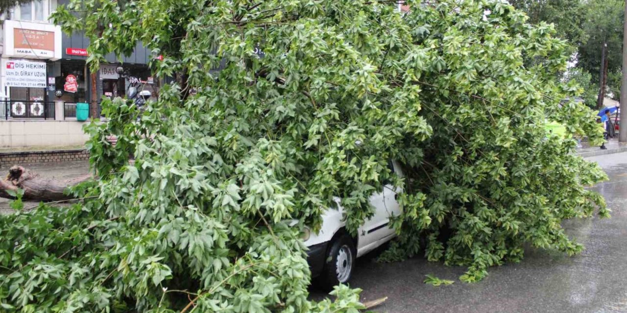 Sağanak yağış yolları göle çevirdi, ağaçları devirdi