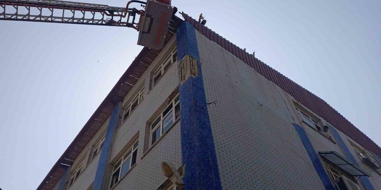 Çatıda mahsur kalan baykuşları itfaiye kurtardı