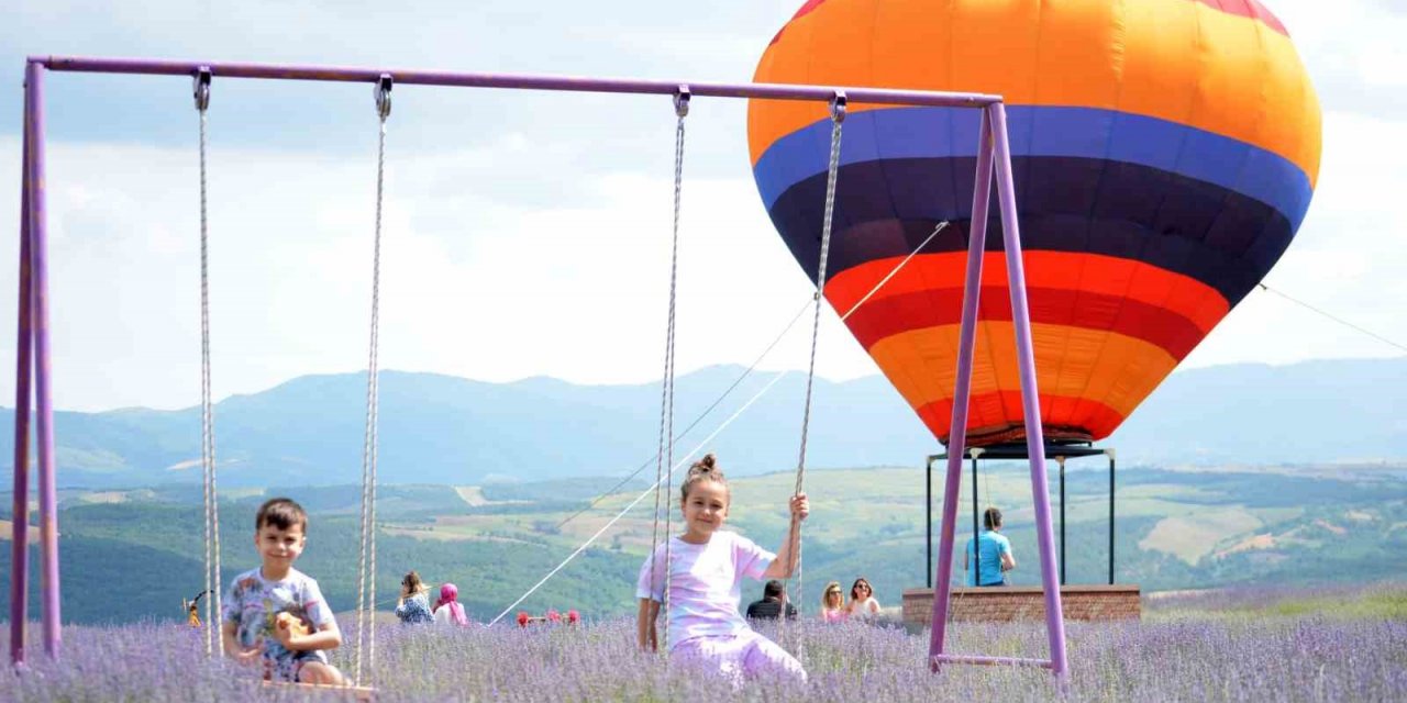 Tekirdağ’da mor turizm başladı: Buraya stresli girmek yasak