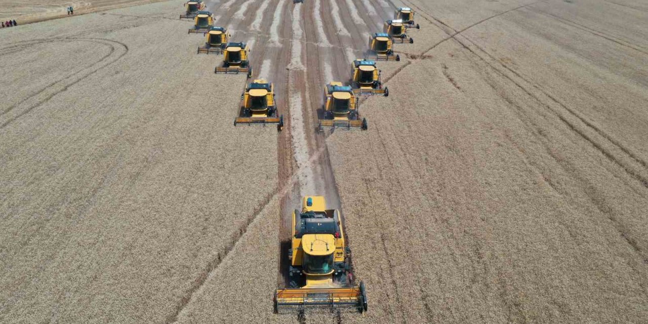 Türkiye’nin tahıl ambarında bu yıl 200 bin ton buğday hasadı bekleniyor