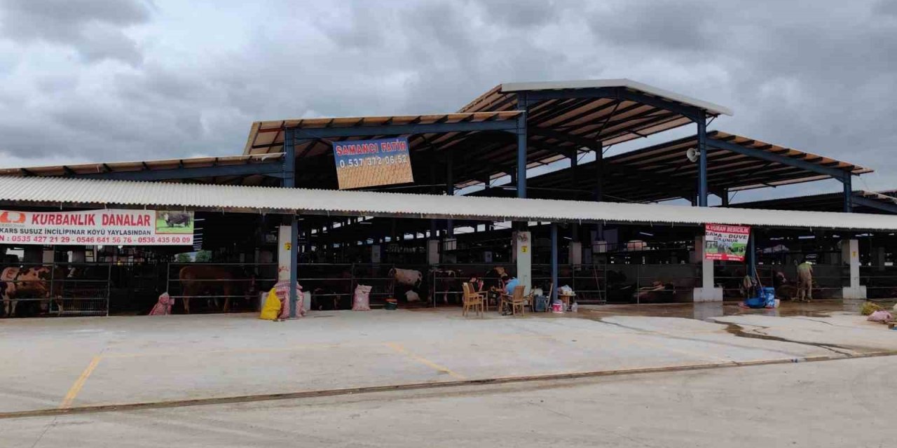 Bursa’da şap hastalığı kontrol altına alındı