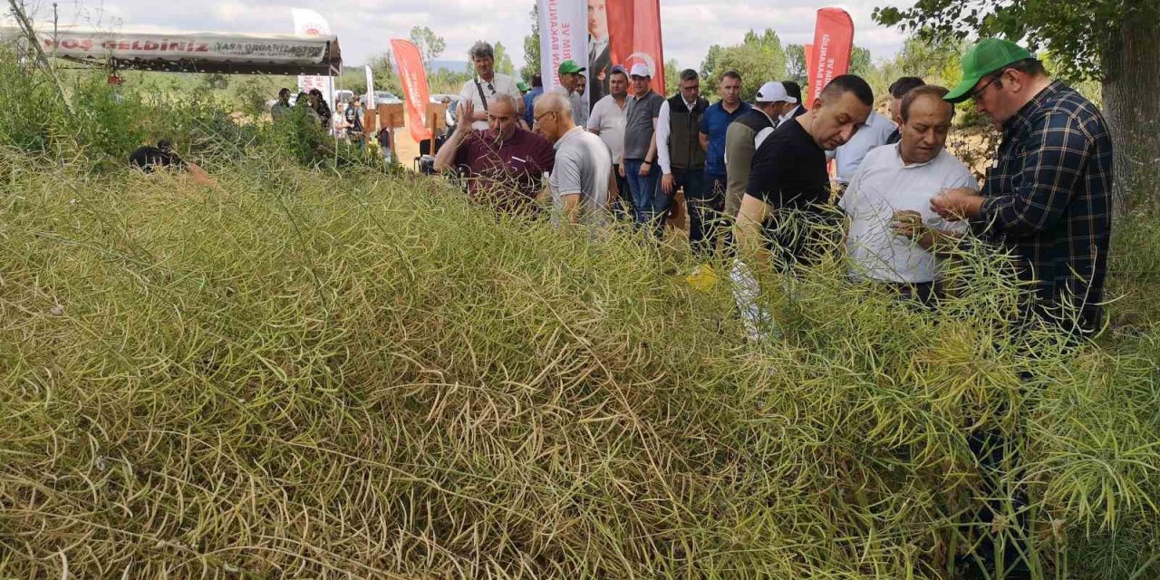 ‘Kanola ekelim yağ olsun bal olsun’