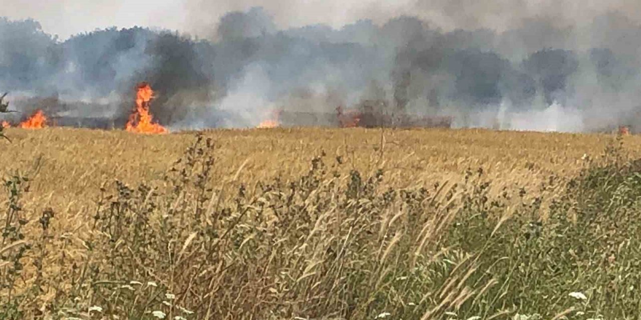 Çanakkale’de 45 dönüm tarım arazisi yanarak kül oldu
